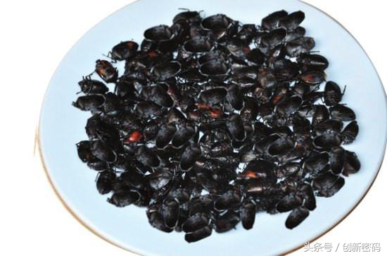 云南人站在食物链的顶端,死也不吃的食物