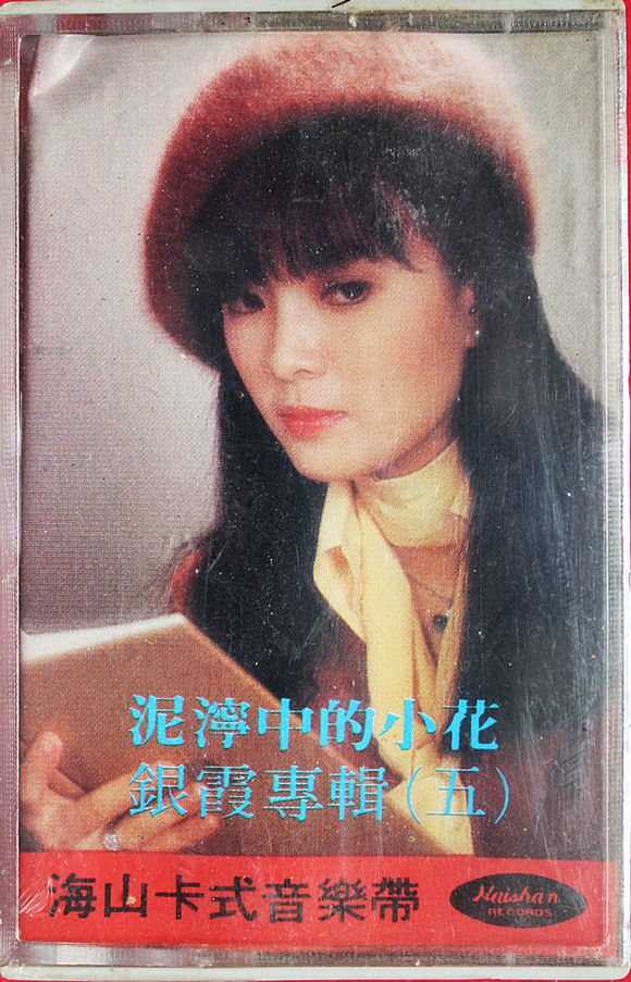 她是甄珍的妹妹，曾经的清纯让邱淑怡黯然失色，现在却疾病缠身