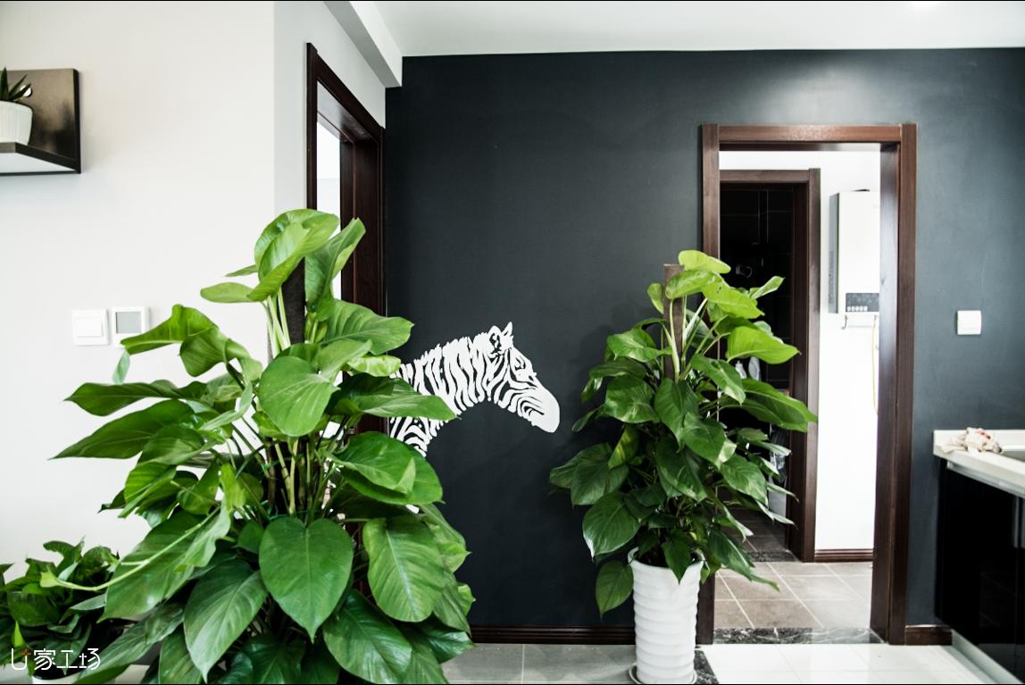 黑板漆是什么,黑板漆到底是什么