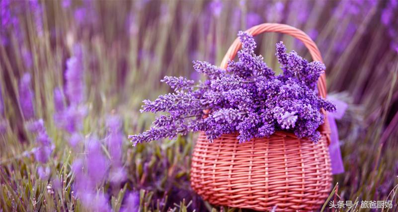 为宝宝驱蚊子,为宝宝驱蚊的办法