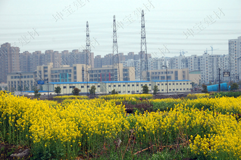 树脂瓦新农村改造项目,树脂瓦的市场前景