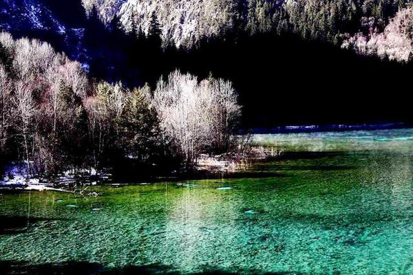 九寨沟的冬天是一幅精美的水墨画,冬天五彩池九寨沟