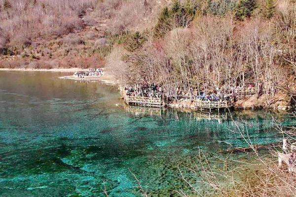 九寨沟的冬天是一幅精美的水墨画,冬天五彩池九寨沟