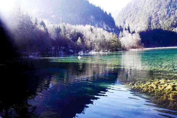 九寨沟的冬天是一幅精美的水墨画,冬天五彩池九寨沟