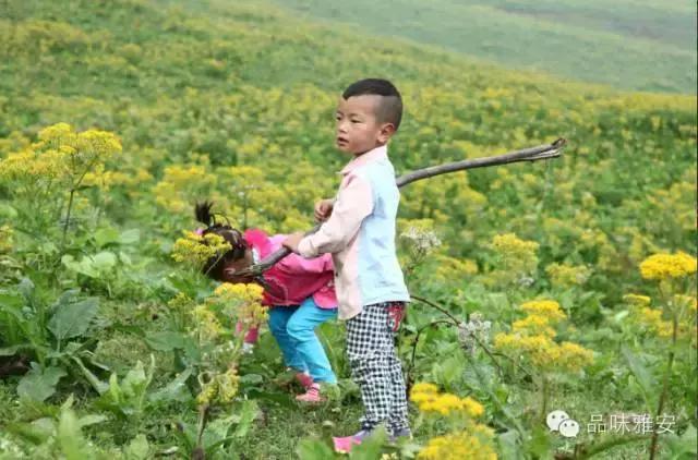品味雅安丨大美雅西秘境汉源