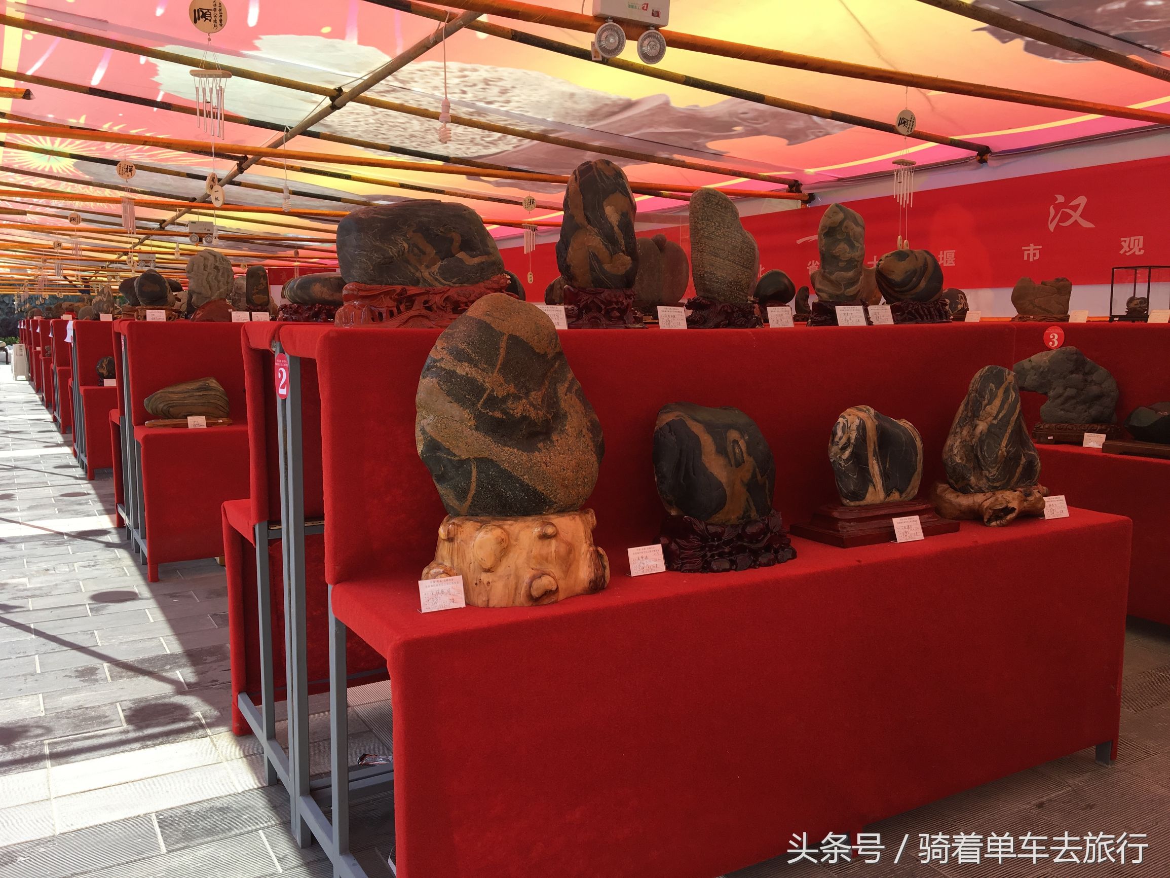 后柳水乡游船还是三峡游船好,汉江三峡和后柳水乡是一个景区吗