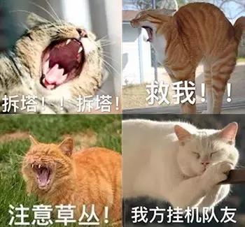 那些被3d搞坏的动画片,那些3d画风被毁的动画片