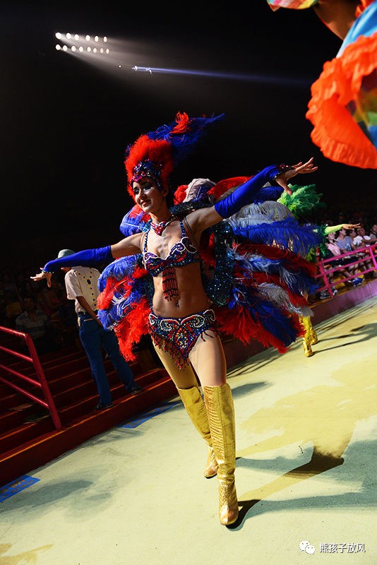 旅游攻略广州长隆野生动物园,游玩广州长隆野生动物园攻略