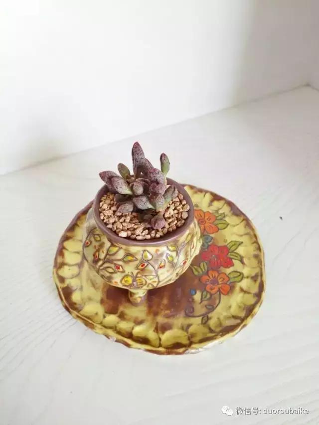 老桩多肉爱生根吗,多肉老法师老桩名品