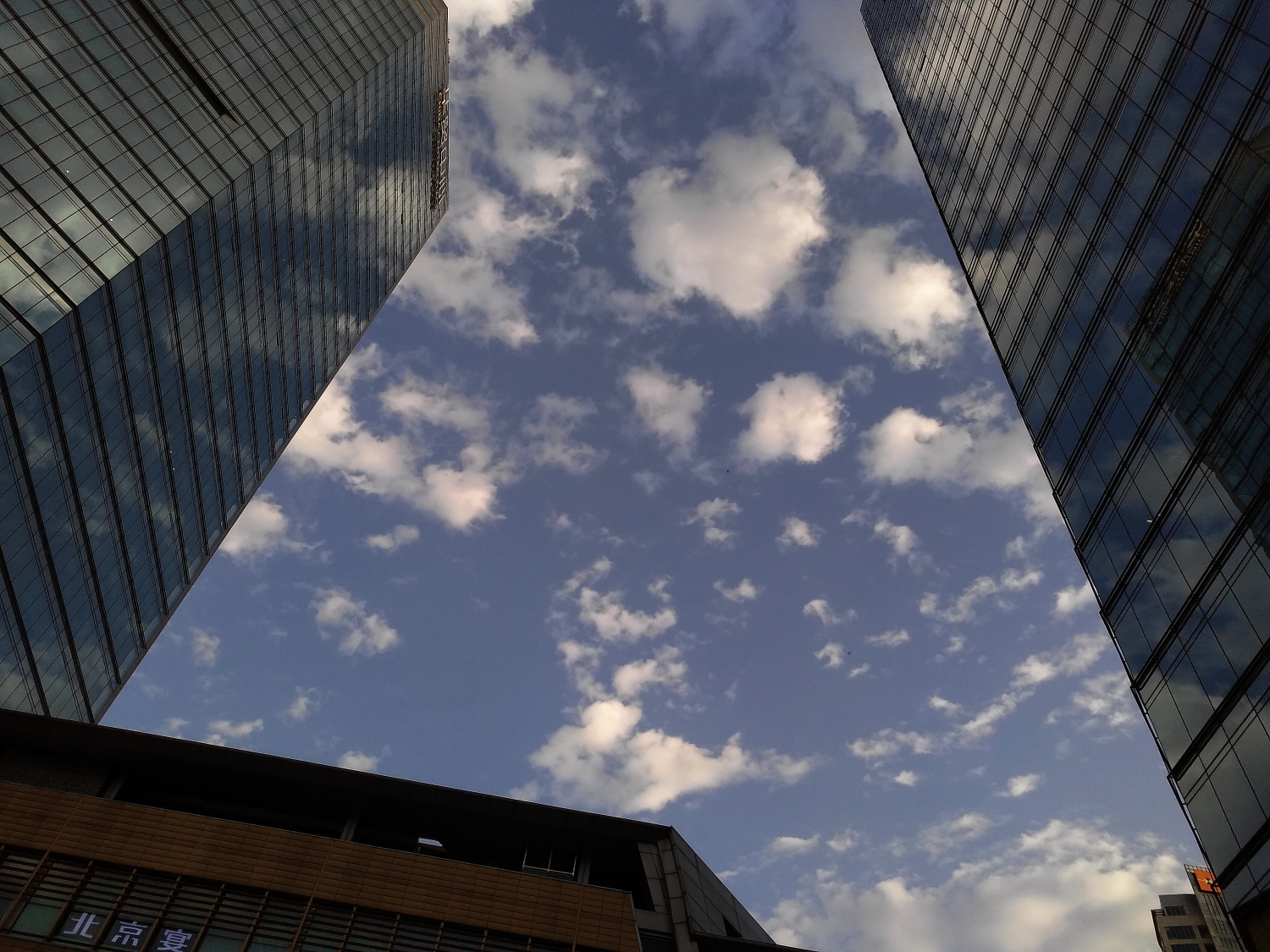 锤子坚果pro2s测评照片,锤子坚果pro2拍照效果