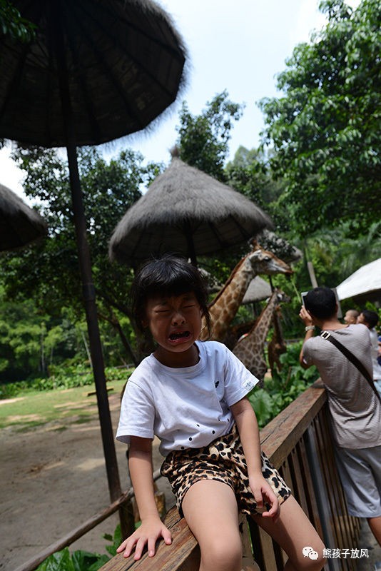 广州长隆野生动物园游玩攻略,广州长隆野生动物园攻略自由行