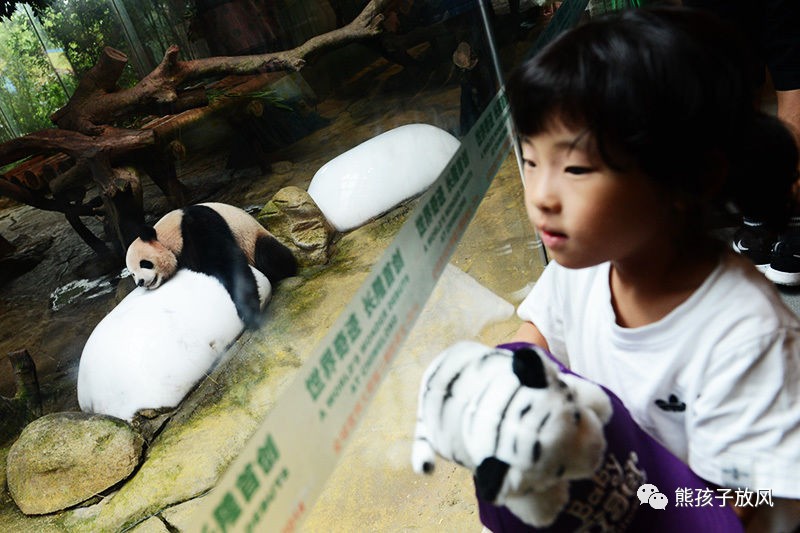 广州长隆野生动物园游玩攻略,广州长隆野生动物园攻略自由行