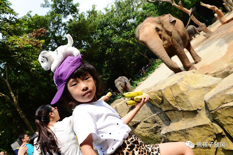 广州长隆野生动物园游玩攻略,广州长隆野生动物园攻略自由行