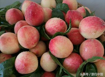 一年一度的蟠桃大会哪里有,王屋山蟠桃盛会