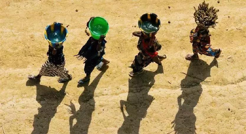 喜茶哪杯奶茶最好,喜茶哪一款奶茶最好喝