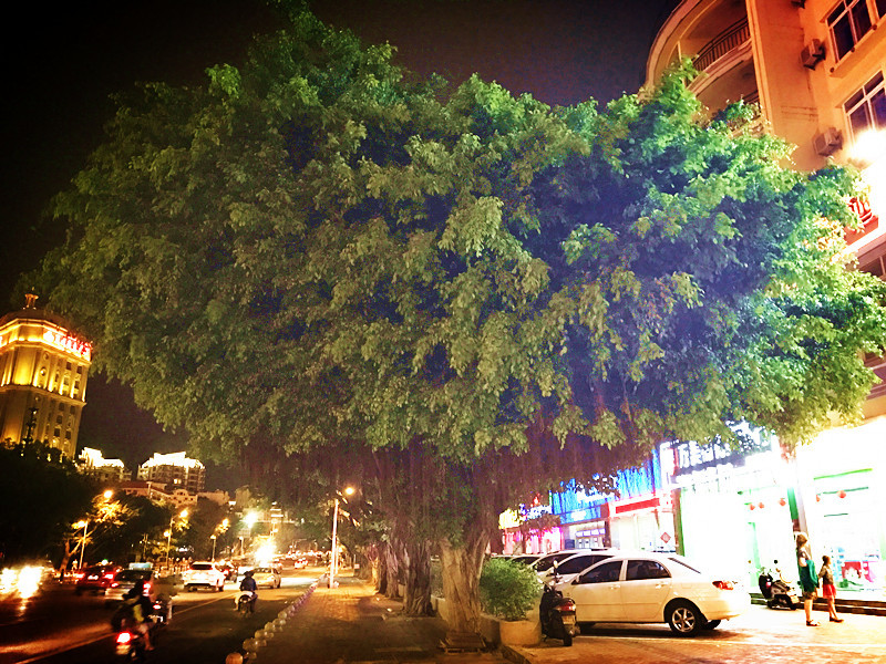 三亚自由行含机票豪华游艇体验,三亚自由行旅游必备