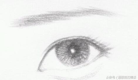 眼型最好看排名,最丑眼型和最美眼型