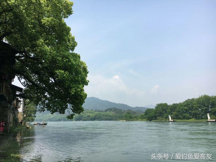 娴呭鑺姵缇庢枃,娴呭鑺姵