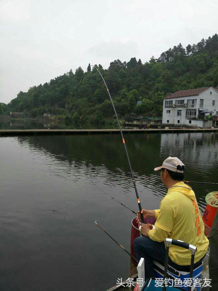 娴呭鑺姵缇庢枃,娴呭鑺姵