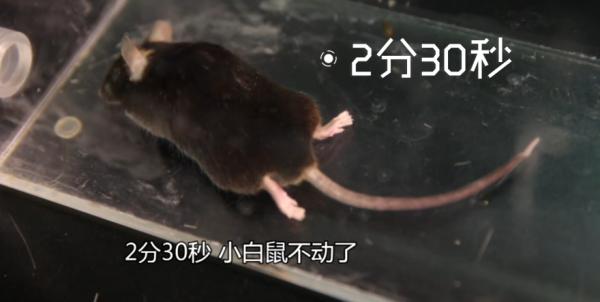 吸入笑气气体有什么危害,笑气的化学成分及其危害