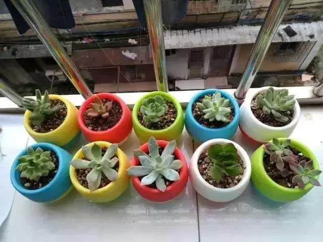 黄埔长洲岛美食,黄埔星期天集市