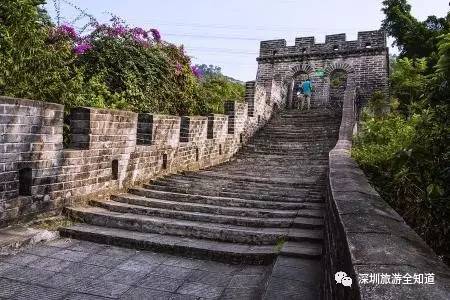 十年前的深圳求水山公园,深圳求水山公园观光图