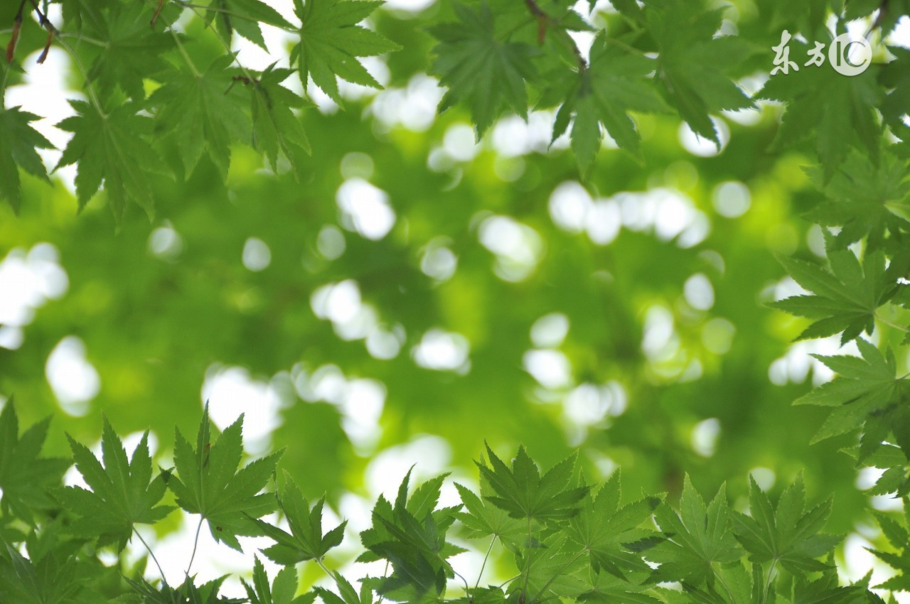 十二月份英语单词巧记,英语顺口溜快速记单词