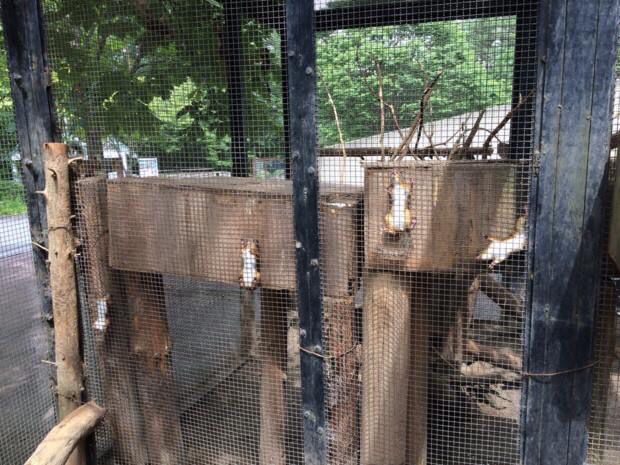 今日头条搞笑评论神回复,盘点那些有趣的神评论