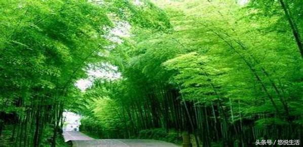 贵州即将建飞机场的县,贵州即将撤县设区的县