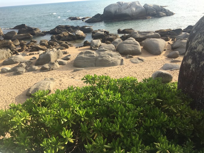 两个快乐的小阿妹神游三亚