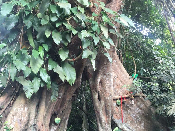 两个快乐的小阿妹神游三亚