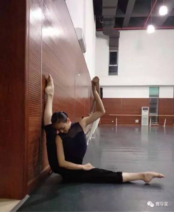 北舞有多难进,进入北舞有哪些条件