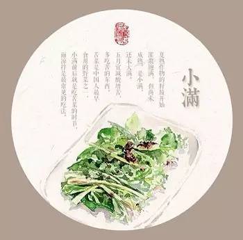 我们常吃的菜有哪些,现在我们做饭都是三鲜馅儿怎么办