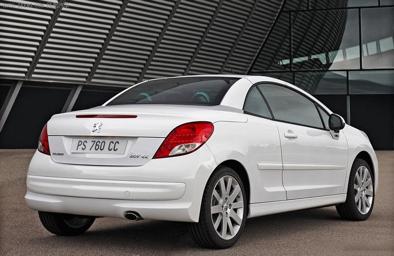 便宜的小跑,走路带小跑忙到怀疑人生