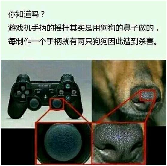 手柄摇杆的原理,游戏手柄的摇杆是不是狗鼻子做的