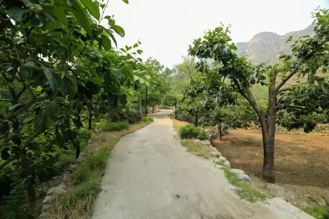 保定易县紫荆关镇坡下村,第一雄关嘉峪关景区