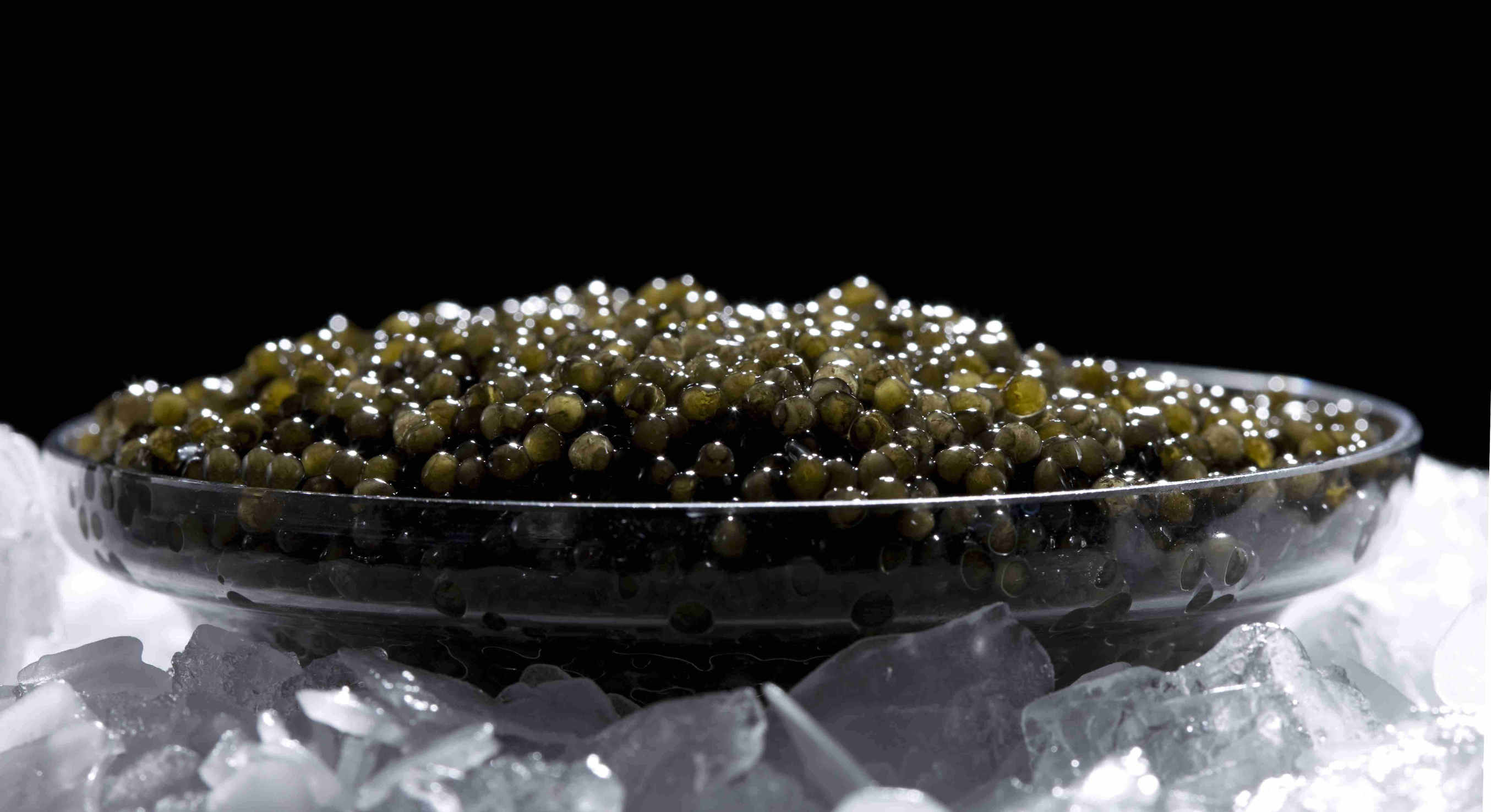 带你探寻顶级鱼子酱的加工流程,顶级鱼子酱加工过程