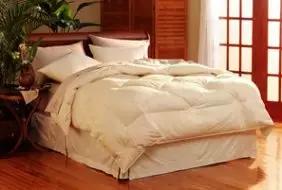 宠物在床上拉屎怎么清理,宠物粪便干在地板上怎么办