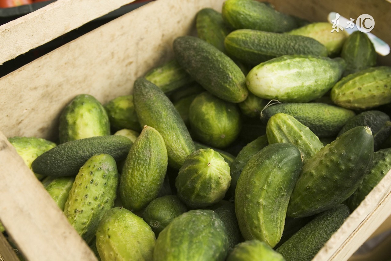 一带一路促进全球化,吃货是最大受益者