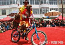 十二生肖由来的动画视频,十二生肖猴子真正的由来