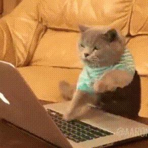 哈尔滨民办初中学费多少钱,哈尔滨家长晒高中三年费用