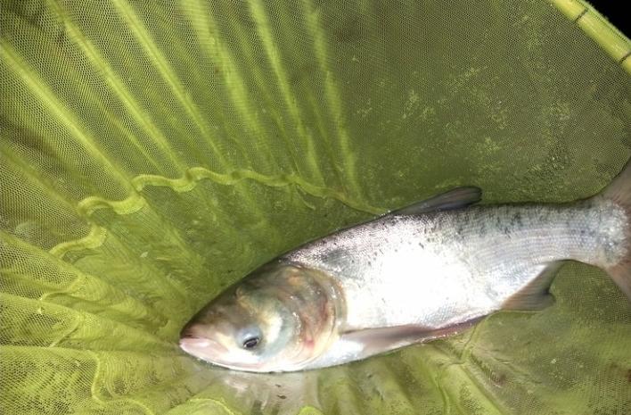 福满天下2500ml,福满天下52度750ml