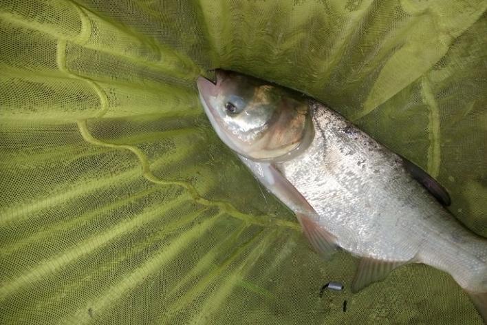 福满天下2500ml,福满天下52度750ml