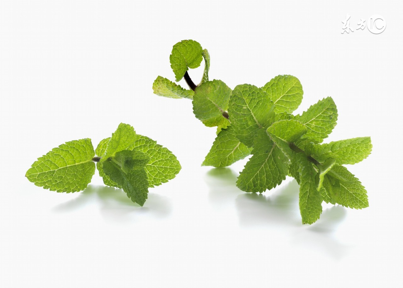 家有一宝如有一宝的下一句是什么,哪种草可以让人健康