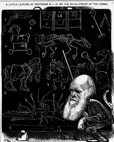 达尔文的进化论最出名的话,为何那么多人怀疑达尔文的进化论