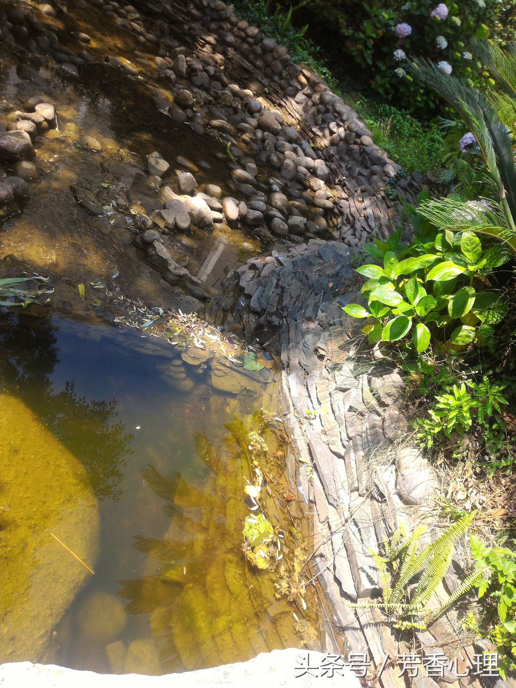 二级心理咨询师考试题库,心理卫生与心理辅导答题模板