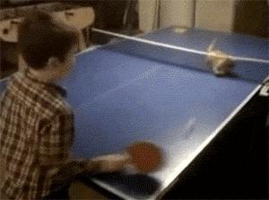 带来幸运的招财小黑猫,一只可以带来好运的猫