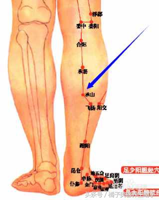 口臭头油脸油吃什么药,胃火重口臭按哪个穴位效果最好