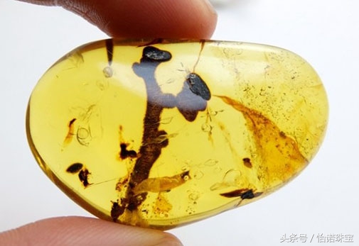 你真的了解缅北吗,缅甸琥珀里什么珀最好