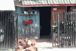 女生宿舍像家一样,女生宿舍和男生宿舍反差